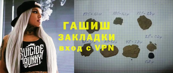 шишки Белокуриха