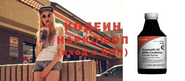 шишки Белокуриха