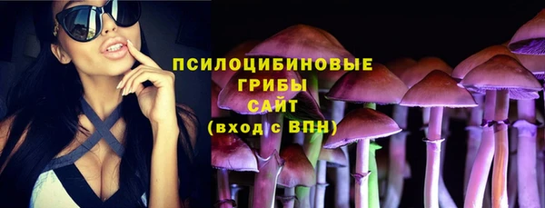 шишки Белокуриха
