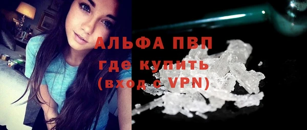 шишки Белокуриха