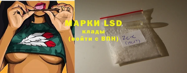 шишки Белокуриха