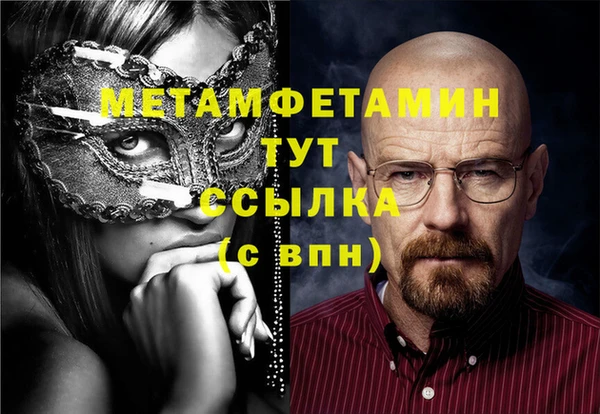 шишки Белокуриха