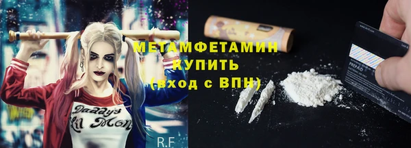 шишки Белокуриха